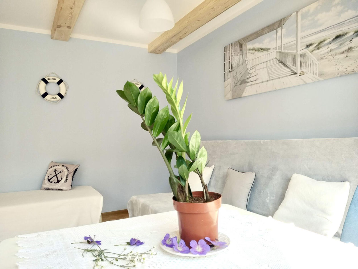apartamenty-1256x942.jpg